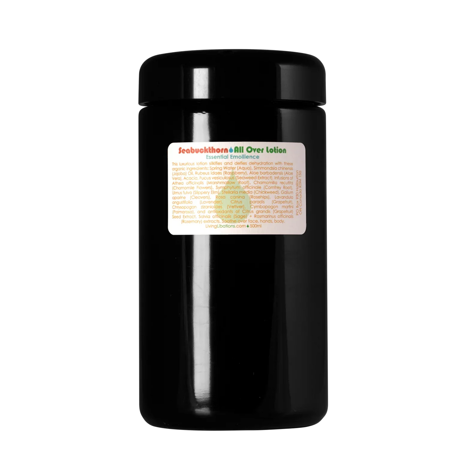 Living Libations | Seabuckthorn All Over Lotion